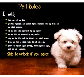 iPad Oath Puppy